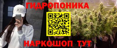 шишки Балаково