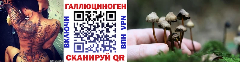 Галлюциногенные грибы GOLDEN TEACHER Избербаш
