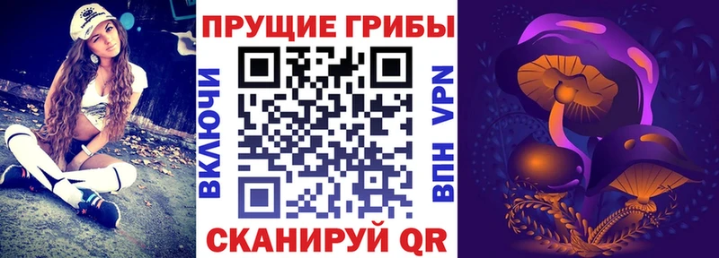 Галлюциногенные грибы Cubensis  Избербаш 
