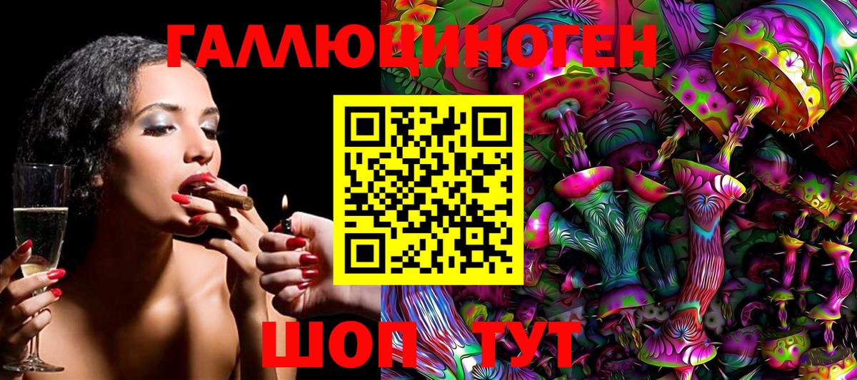 Галлюциногенные грибы Psilocybine cubensis Избербаш