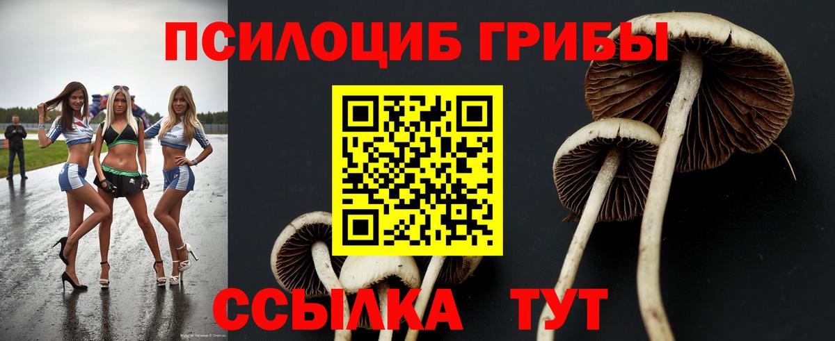 Избербаш  Галлюциногенные грибы Psilocybe  Галлюциногенные грибы мицелий  Вход с VPN 
