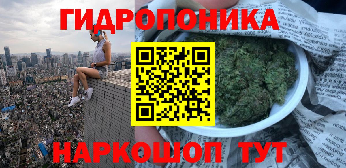Конопля Amnesia  Бошки марихуана план  Вход с VPN  Избербаш 